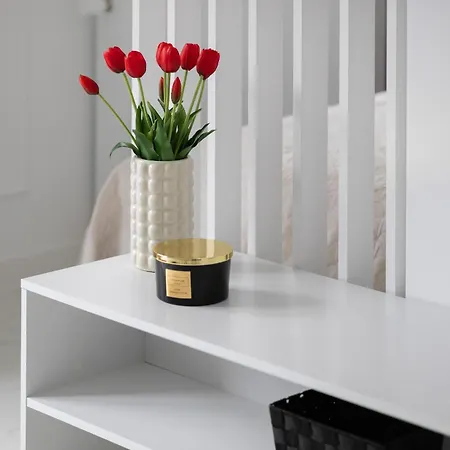 Air-conditioned Studio With Balcony By Renters